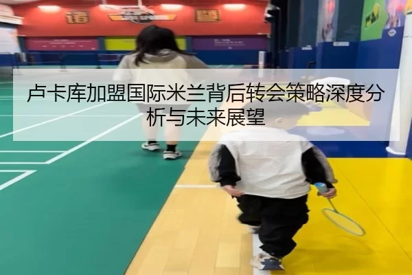 卢卡库加盟国际米兰背后转会策略深度分析与未来展望